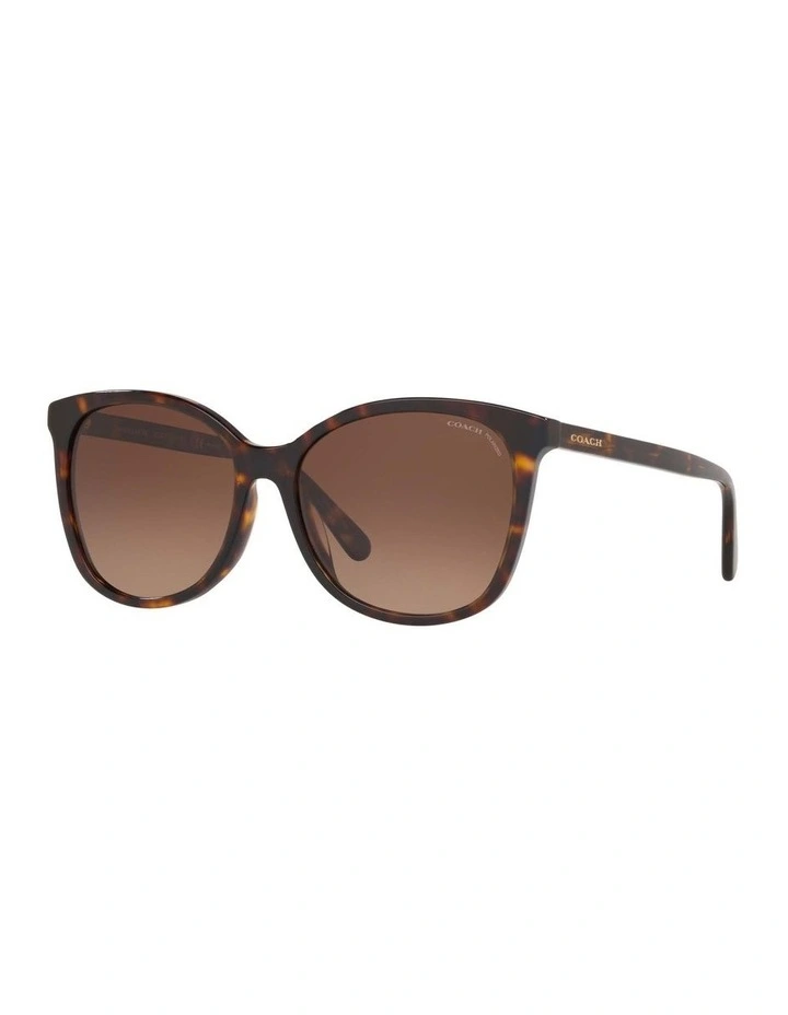 HC8271U L1101 Tortoise Polarised Sunglasses