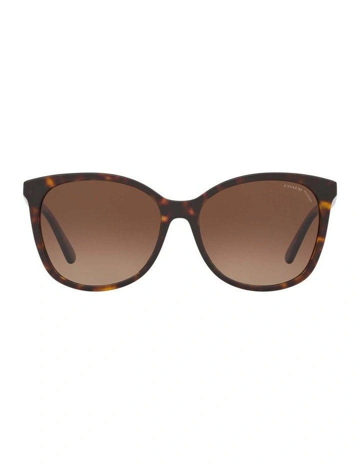 HC8271U L1101 Tortoise Polarised Sunglasses