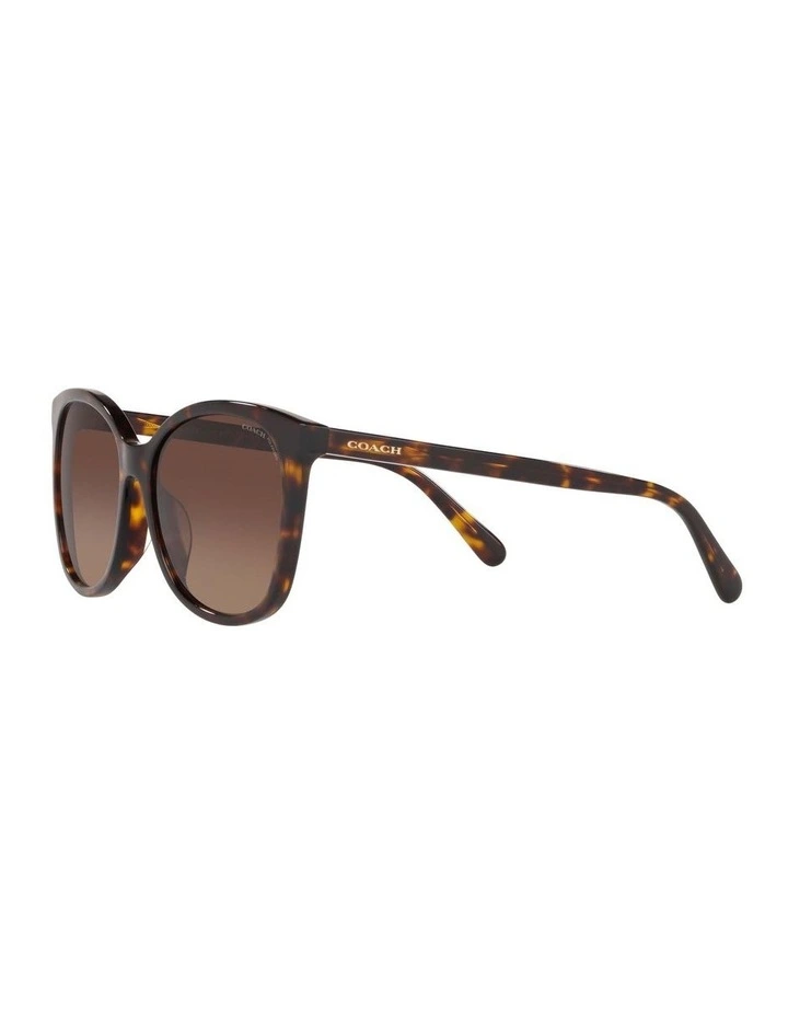 HC8271U L1101 Tortoise Polarised Sunglasses