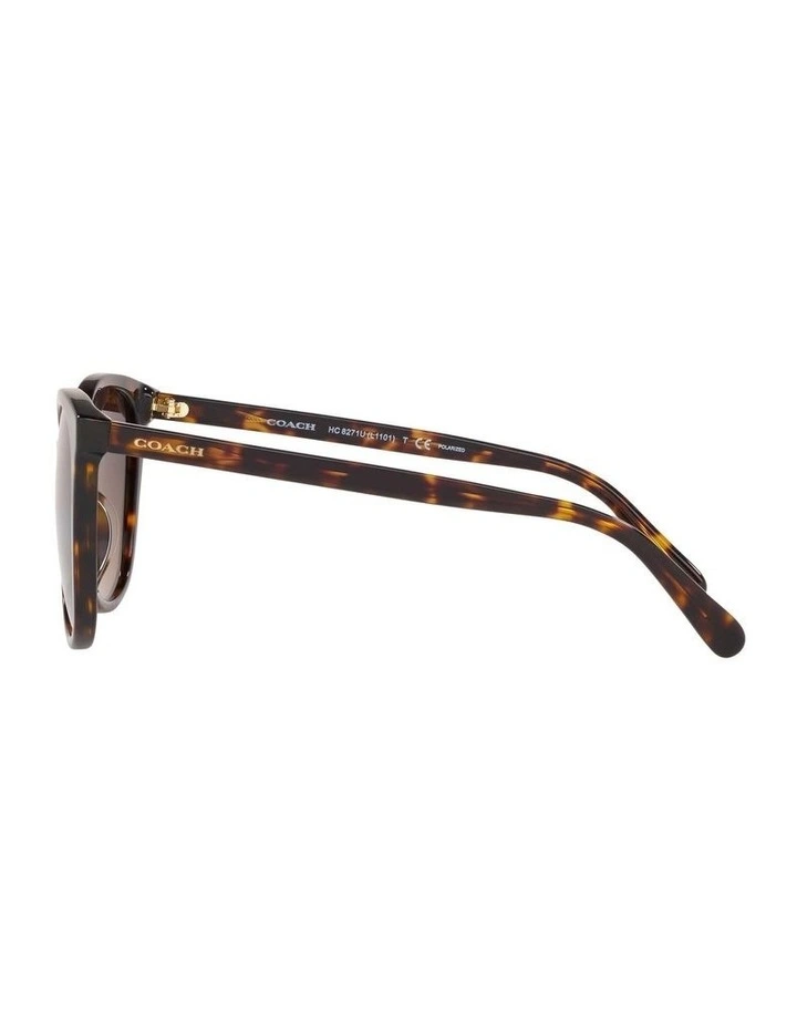 HC8271U L1101 Tortoise Polarised Sunglasses