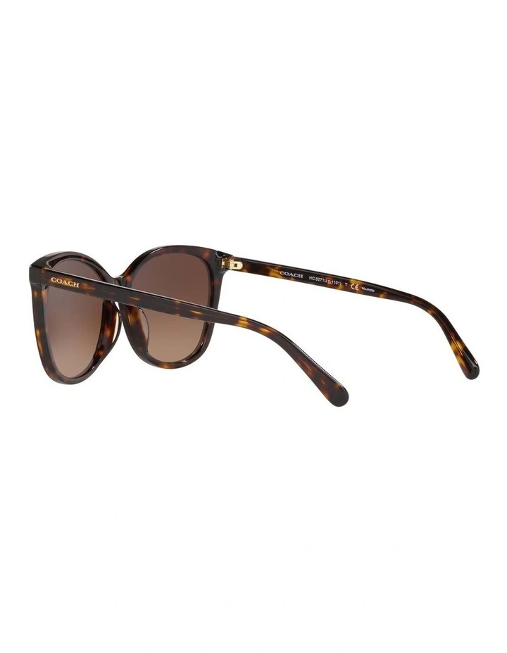 HC8271U L1101 Tortoise Polarised Sunglasses