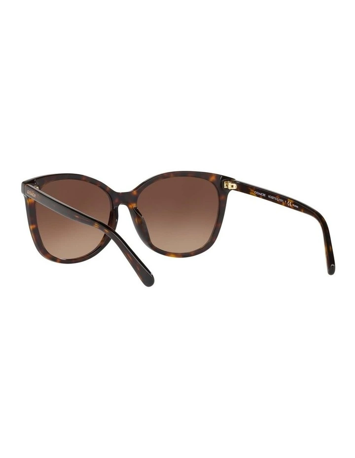 HC8271U L1101 Tortoise Polarised Sunglasses