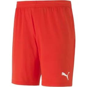 Puma TEAM GOAL 23 KNIT SHORTS